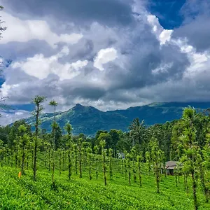 Ende Wayanad Koroth